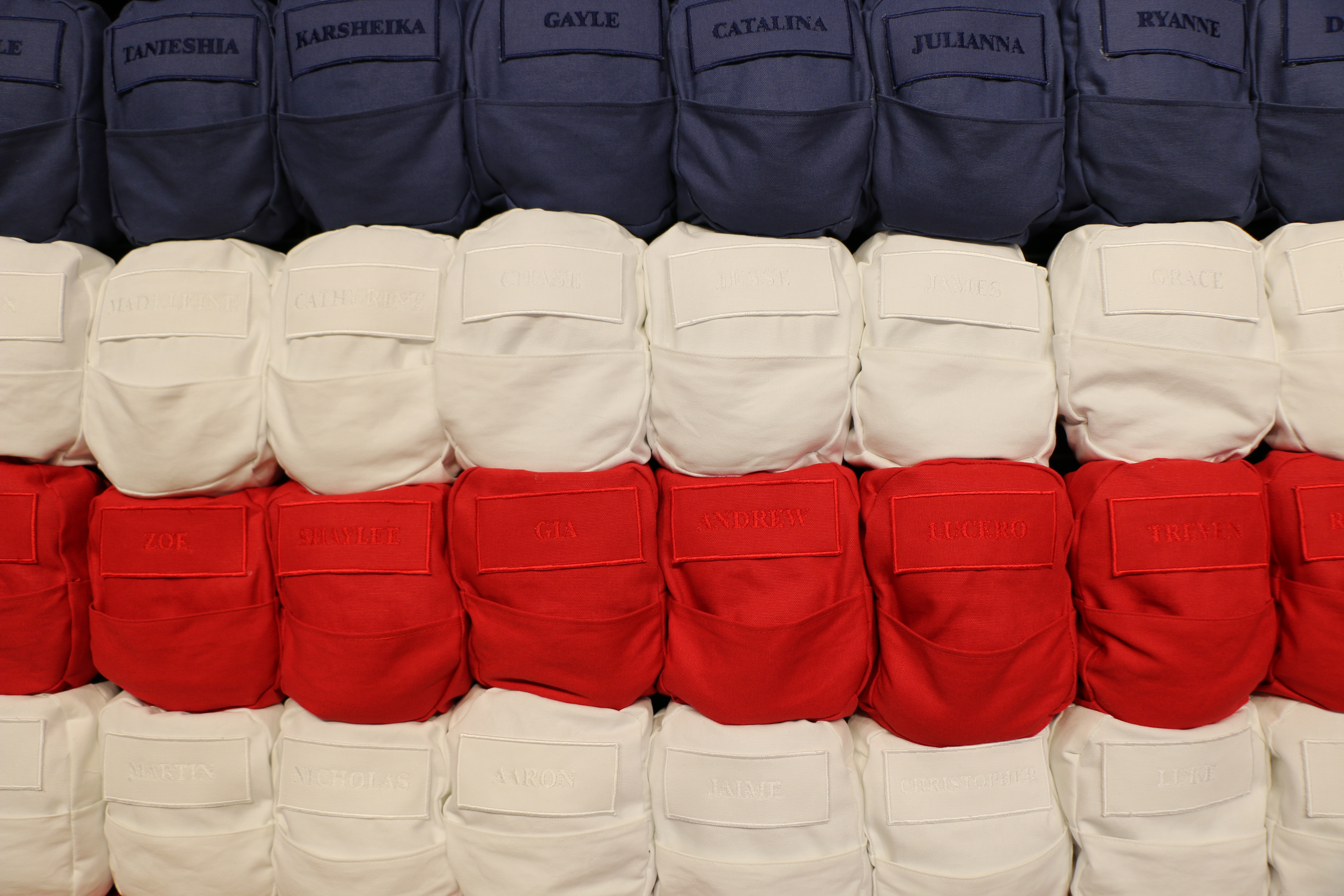 Process image showing backpacks attached to cattle panels